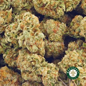 Buy Cannabis Kush Breath at Wccannabis at Wccannabis Online Shop