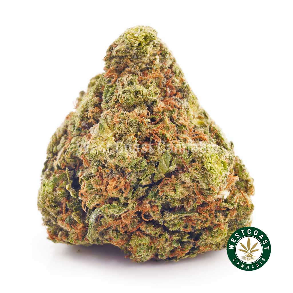 Buy Cannabis Blueberry Kush at Wccannabis Online Shop