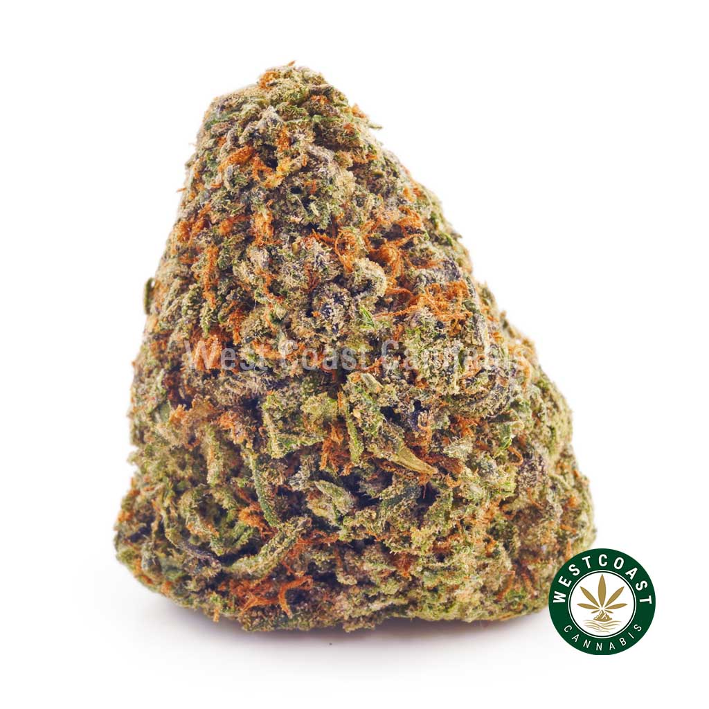Buy weed Sour Amnesia at wccannabis weed dispensary & online pot shop