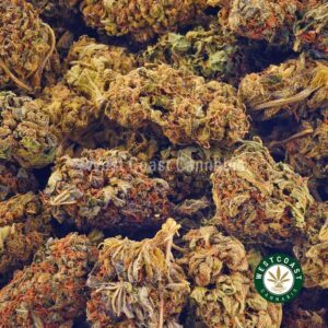 Buy weed Sour Amnesia AA at wccannabis weed dispensary & online pot shop