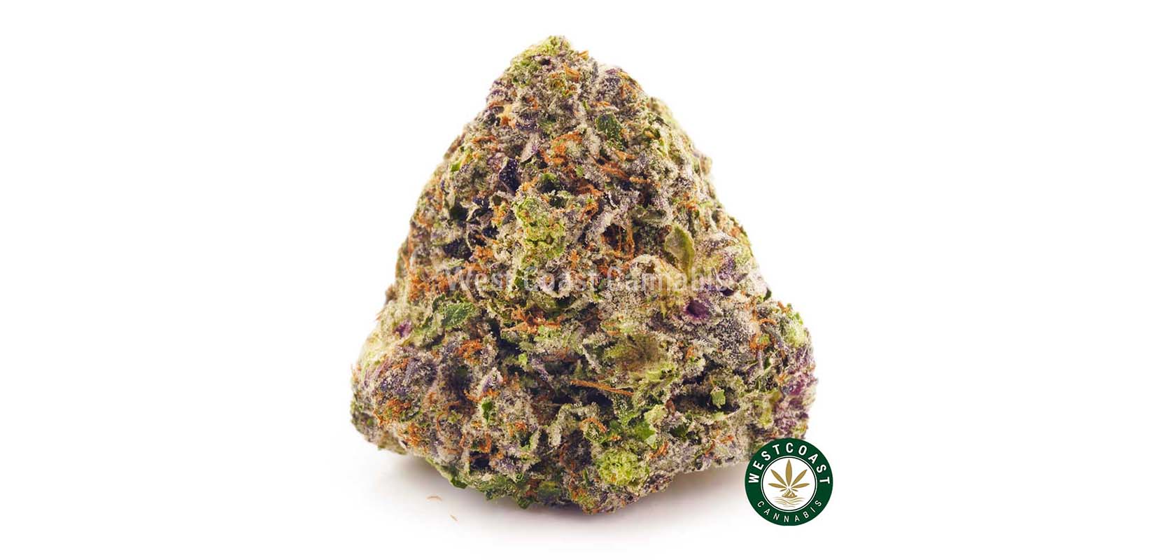 Large weed buds of space quees weed online from west coast cannabis canada. BC cannabis online dispensary for weed online.