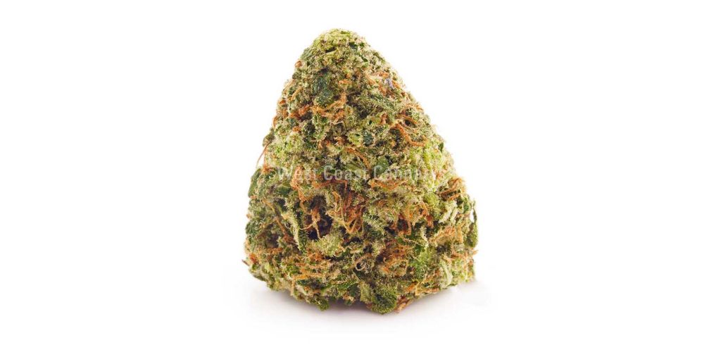 Strawberry Cough Sativa Dominant is one of the strongest Hybrid strains from wccannabis weed dispensary for BC cannabis.