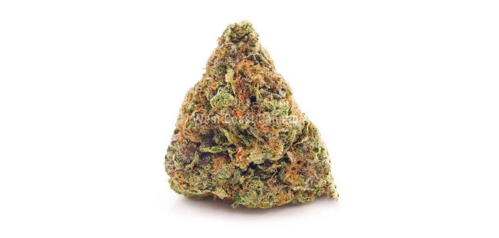 Supreme Death Bubba weed online Canada from wccannabis mail order marijuana Dispencary.