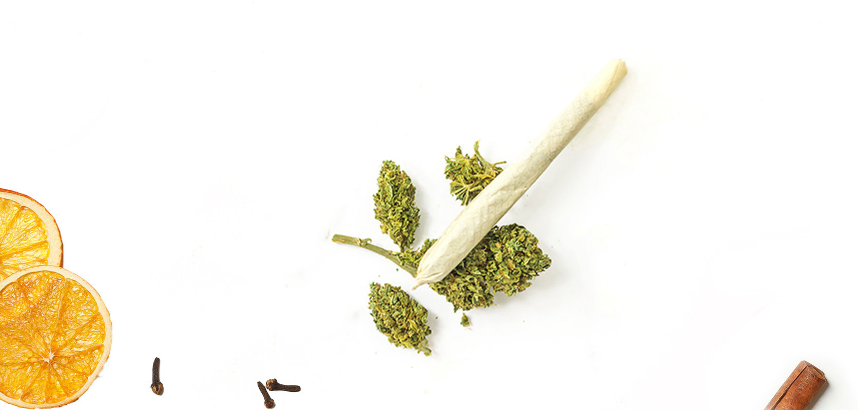 Space Queen weed buds and pre-rolled joint. budget buds. moon rock weed. weed delivery canada. indica strains. 