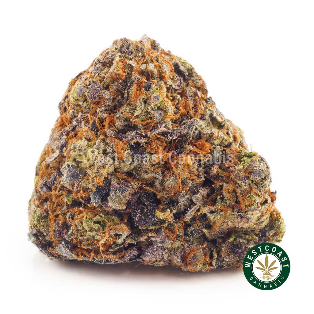 Buy weed OG Octane at wccannabis weed dispensary & online pot shop