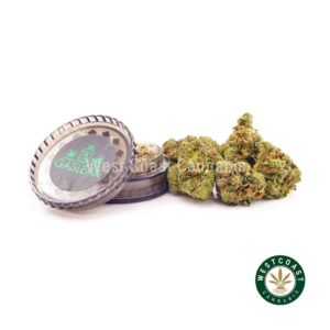 Buy weeds online Supreme Gelato budgetbuds and cheapweed dispensary. dab pen, edibles, and gummys from online dispensary Canada.