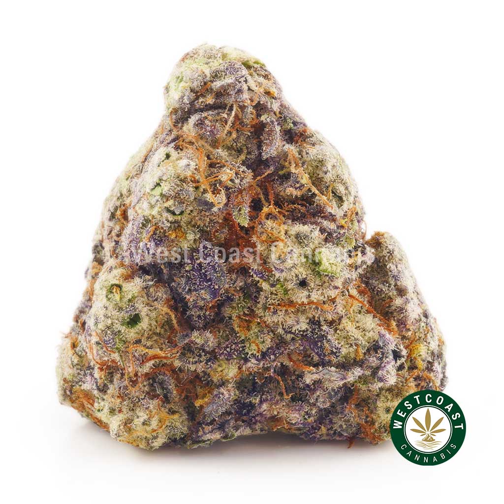 Buy weed online Dragonfruit Gelato at West Coast Cannabis online dispensary for BC cannabis budget buds. weed shop. budmail. buy weed online canada. gummys and vape pens.