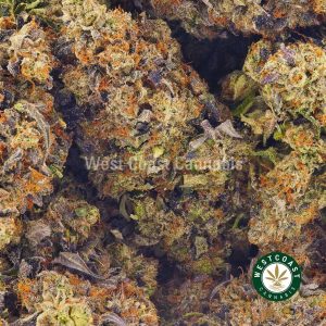 Fucking Incredible weed strain budget buds at West Coast Cannabis vancouver dispensary and top mail order marijuana weed shop. buy online weeds.