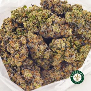 Buy weed online Fucking Incredible AAAA+ weed craft cannabis from online pot shop and weed store West Coast Cannabis. Canadian online dispensary. Order weed online.