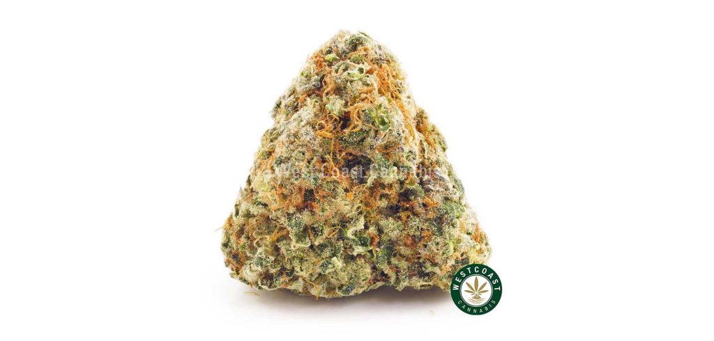 Harlequin weed online.  The Best Marijuana Strain for Hash. canada dispensary. weed shop online. cannabis online. Dispencary.