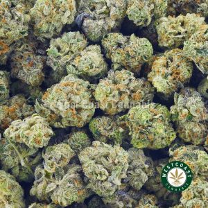 Buy Cannabis Pineapple Berry Popcorn at Wccannabis Online Shop