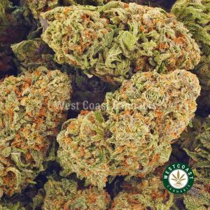 Buy weed Orange Sundae AAA at wccannabis weed dispensary & online pot shop