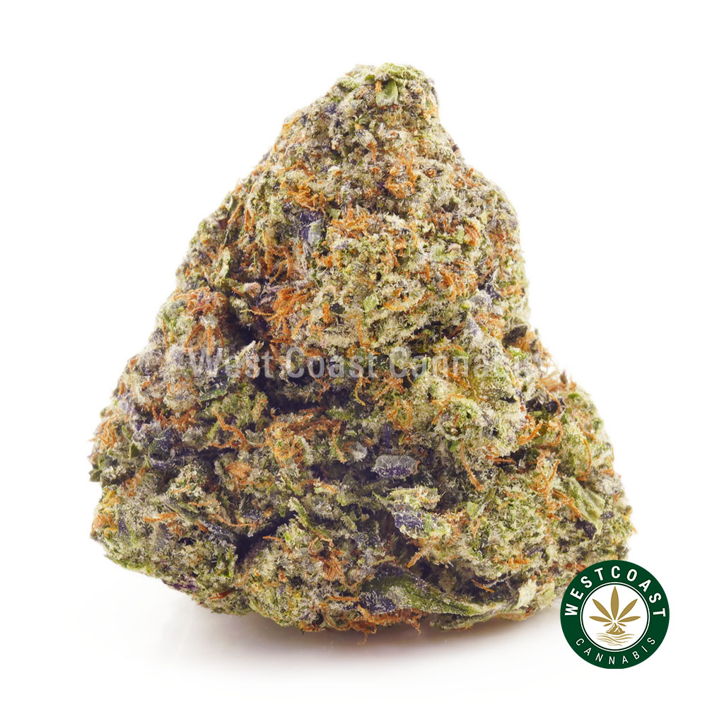 Buy Apple Fritter AAAA at Wccannabis Online Store