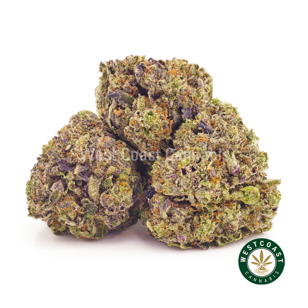 Buy Weed Blueberry Gelato Popcorn at Wccannabis Online Dispensary