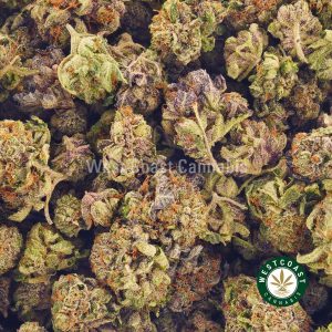 Buy Cannabis Strawberry Gelato at wccannabis Online Shop