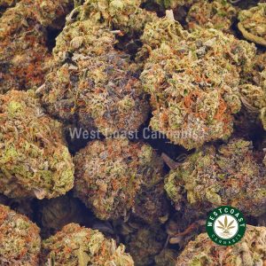Buy Cannabis Blackberry Godbud AAA at Wccannabis Online Shop