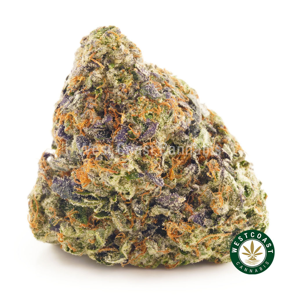 Buy Cannabis Blueberry Cheesecake AAA at Wccannabis Online Shop