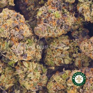 Buy Cannabis Blueberry Cheesecake AAA at Wccannabis Online Shop