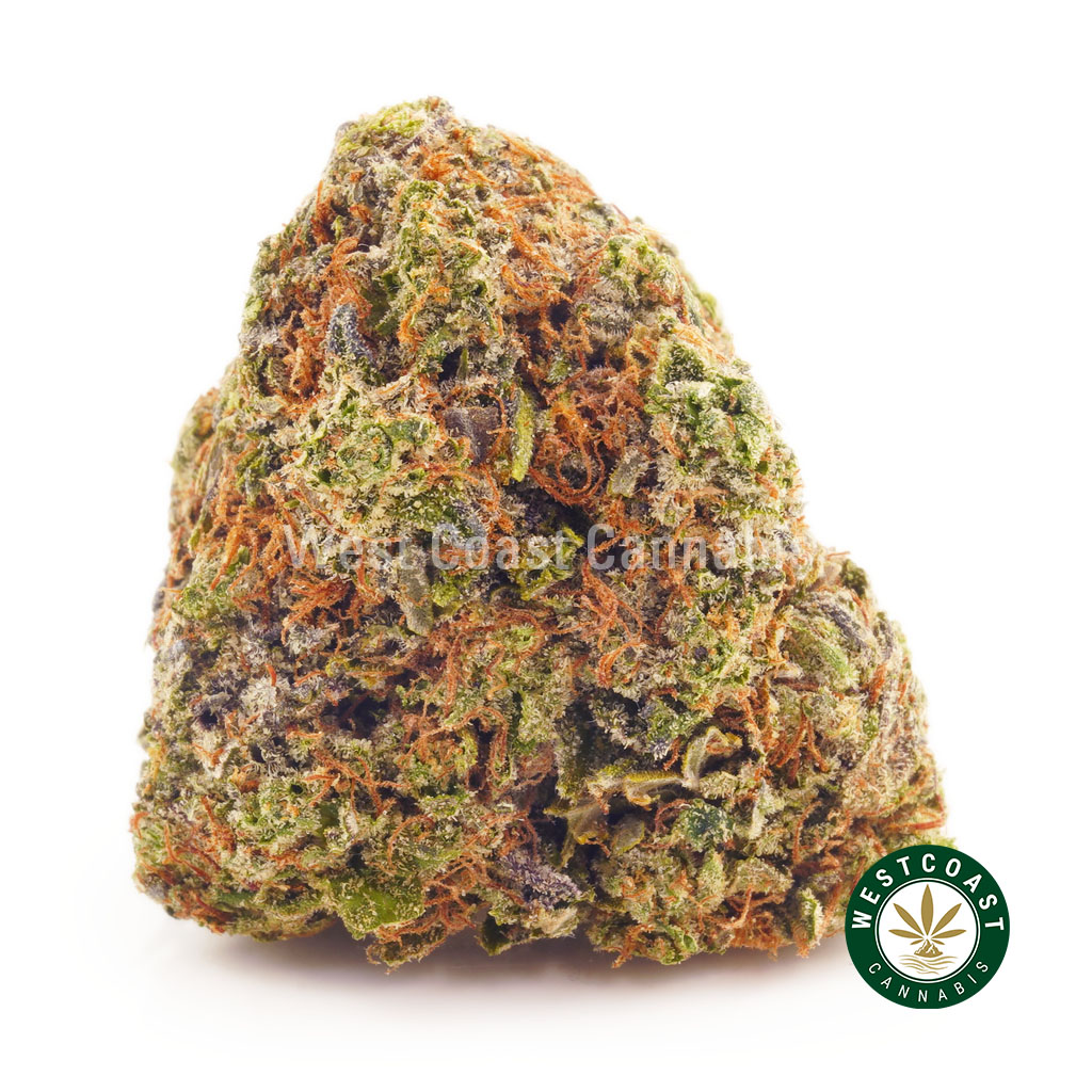 Buy Cannabis Cookie Kush AAA at Wccannabis Online Shop