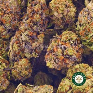 Buy Cannabis Raspberry Gelato at Wccannabis Online Shop