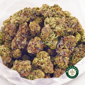 Buy Cannabis Raspberry Gelato at Wccannabis Online Shop