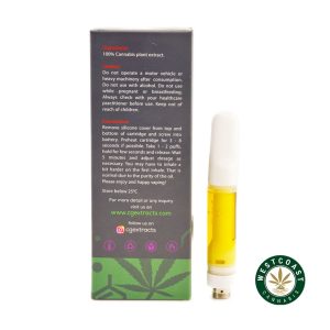 Buy CG Extracts – FSE Cartridge – Birthday Cake 1 ML (Hybrid) at WCCanabis Online Shop