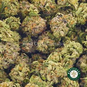 Buy Cannabis Purple Pina Colada AAAA (Popcorn Nugs) at Wccannabis Online Store