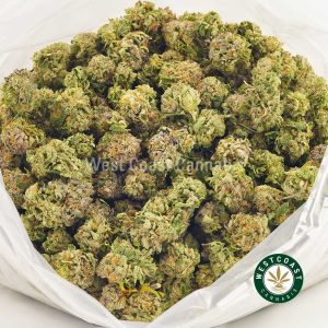 Buy Cannabis Purple Pina Colada AAAA (Popcorn Nugs) at Wccannabis Online Store