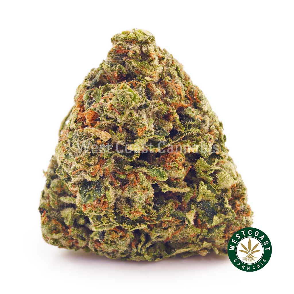 photo of Pink Rockstar strain cannabis popcorn. Order weed online dispensary mail order marijuana BC.