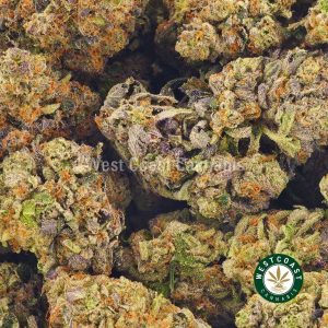 Buy weed Blueberry Zkittlez at wccannabis weed dispensary & online pot shop