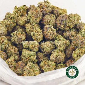 Buy weed Skunk #1 AAAA (Popcorn Nugs) at wccannabis weed dispensary & online pot shop