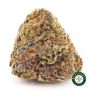 Buy weed purple skunk at wccannabis weed dispensary & online pot shop