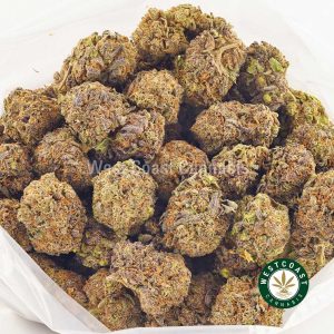Buy weed purple skunk at wccannabis weed dispensary & online pot shop