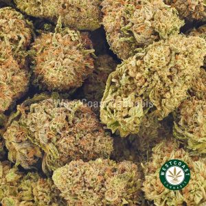 Buy weed blueberry breath at wccannabis weed dispensary & online pot shop