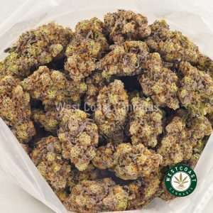Buy weed Jelly Breath AAAA+ at wccannabis weed dispensary & online pot shop