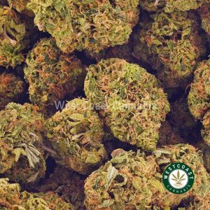 Buy weed Strawberry Ice Cream Cake AAA at wccannabis weed dispensary & online pot shop