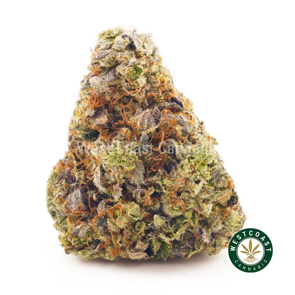 Buy Pink Bubba weed online Canada. BC cannabis weed shop. gummys and edibles Canada from dispensary Vancouver. buy online weeds.