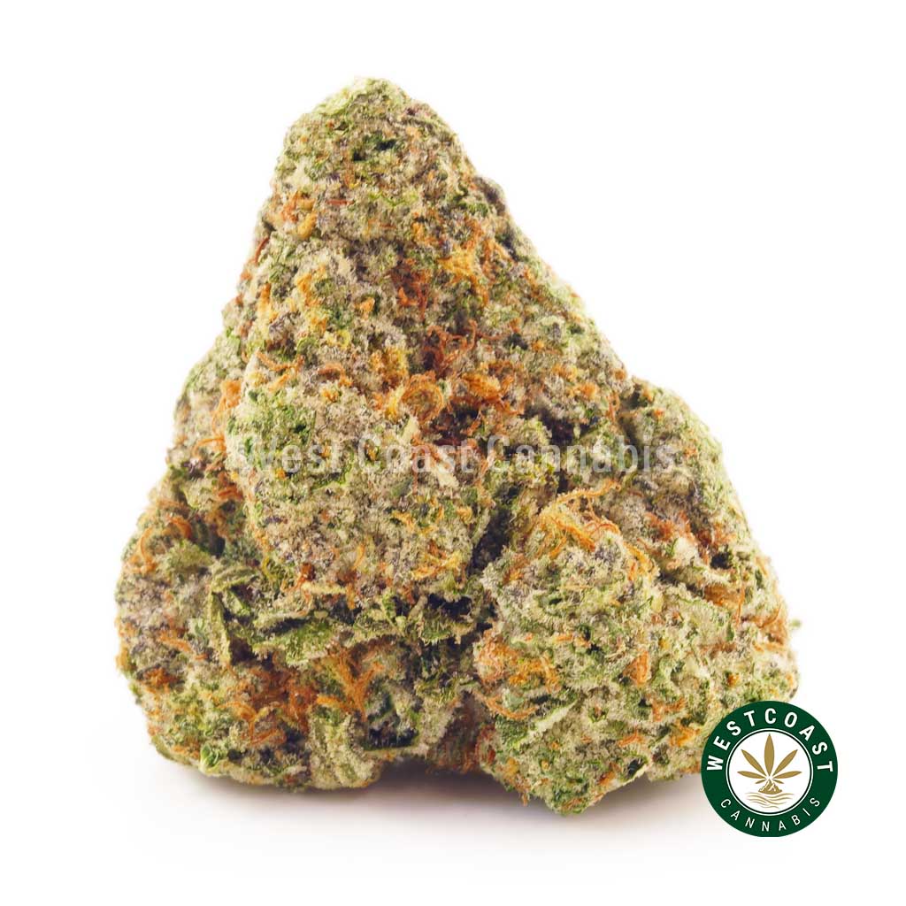Buy weed Apple Fritter AAAA at wccannabis weed dispensary & online pot shop