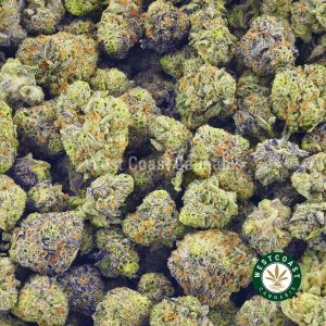 Buy weed Pink Tuna strain budget buds from cheap weed dispensary West Coast Cannabis. BC cannabis. order weed online canada.
