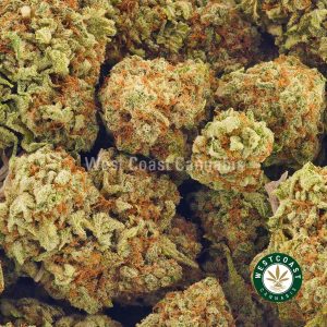 Buy weed Tropical Thunder AAA at wccannabis weed dispensary & online pot shop