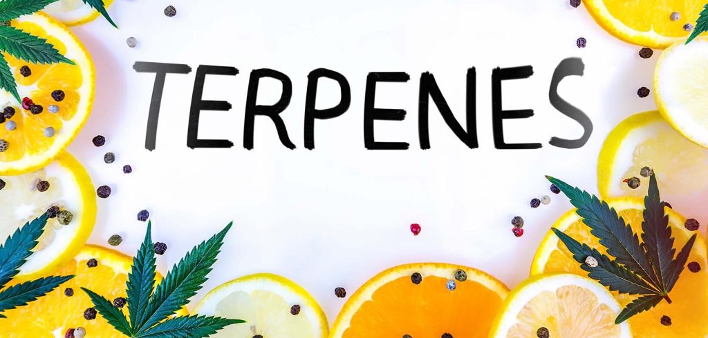 Terpenes concept. Green crack strain review. online dispensary canada to buy weeds online. cannabis canada. Dispencary.