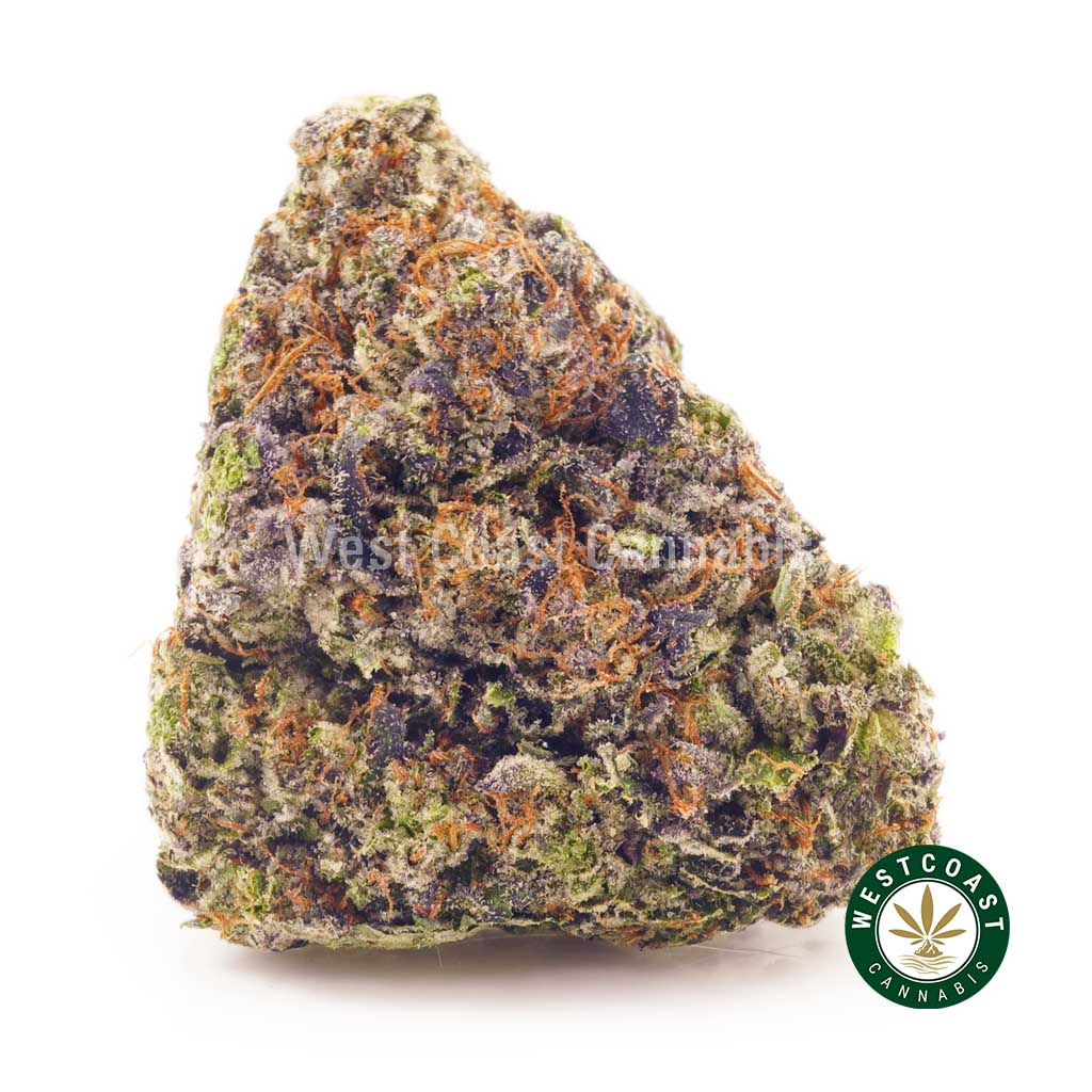 Buy Supreme Gas Mask weed online Canada at West Coast Cannabis Canada dispensary. cheapweed and budget buds from dispensary Vancouver.