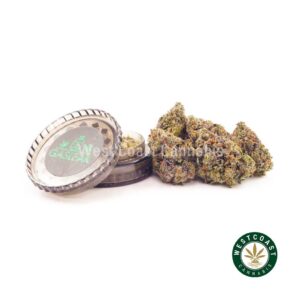 Buy weeds online Supreme Gas Mask strain BC cannabis. Dispensary Vancouver. Online dispensary Canada for shatter and cheapweed.