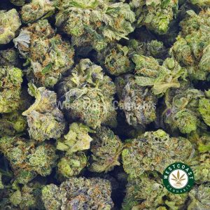 Buy weed Alien Bubba AAAA (Popcorn Nugs) at wccannabis weed dispensary & online pot shop