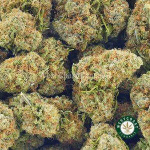 Buy weed Guava Cake AA at wccannabis weed dispensary & online pot shop