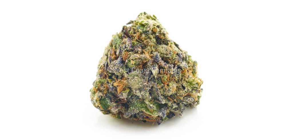 Buy Northern Lights AAA weed online from West Coast Cannabis online dispensary to buy weed online in Canada. Order weed online.