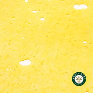 Buy Premium Shatter - Sunset Sherbet (Indica) at Wccannabis Online Dispensary