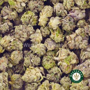 Buy weed Kush Breath AAAA (Popcorn Nugs) at wccannabis weed dispensary & online pot shop