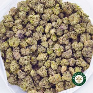 Buy weed Kush Breath AAAA (Popcorn Nugs) at wccannabis weed dispensary & online pot shop