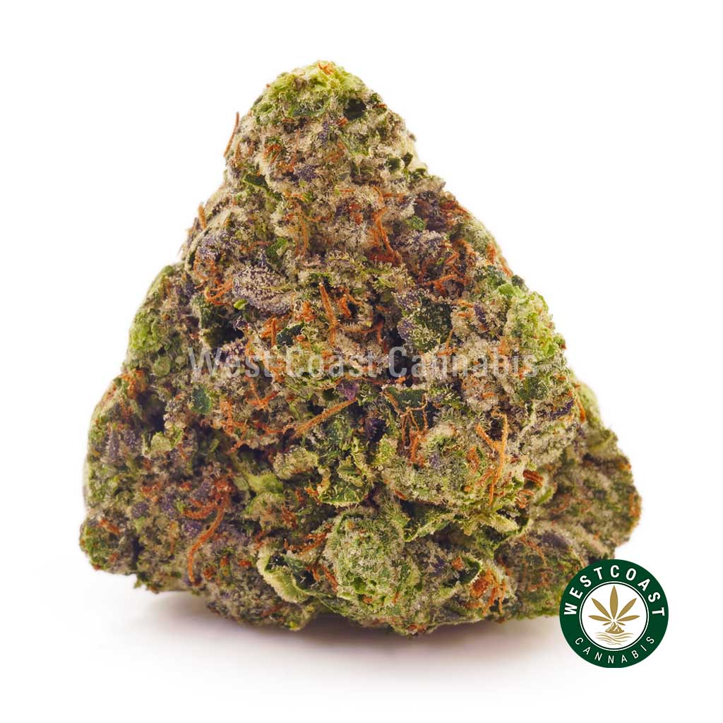 Buy online weeds Purple Gelato weed online Canada. weed delivery canada. bc cannabis stores. sativa strains. best dispenseries for BC cannabis and hash online.